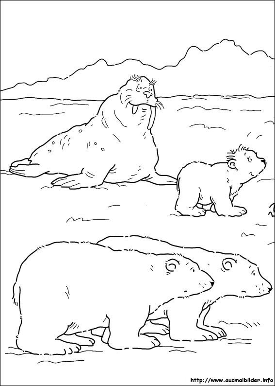 der kleine eisbär malvorlagen