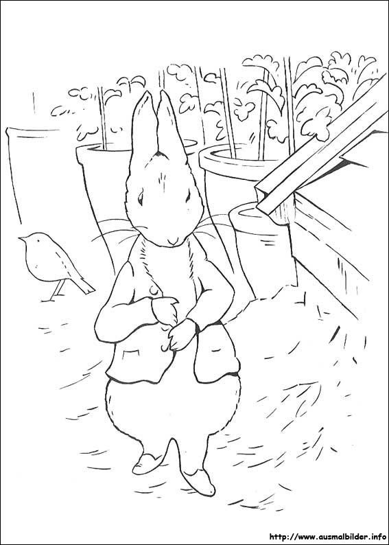 peter rabbit malvorlagen