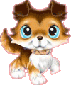 Ausmalbilder von Littlest Pet Shop