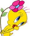 Tweety malvorlagen