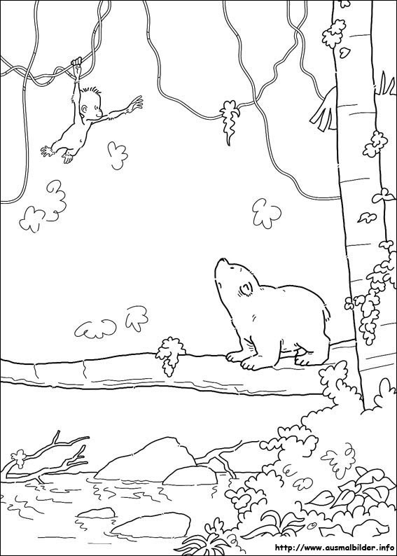 der kleine eisbär malvorlagen